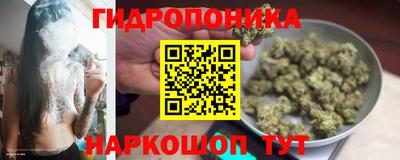 PSILOCYBIN Новодвинск