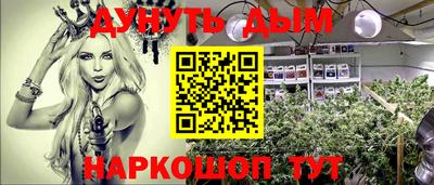 МДПВ Новозыбков