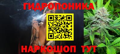 сатива Новокубанск