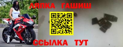 МДПВ Новозыбков