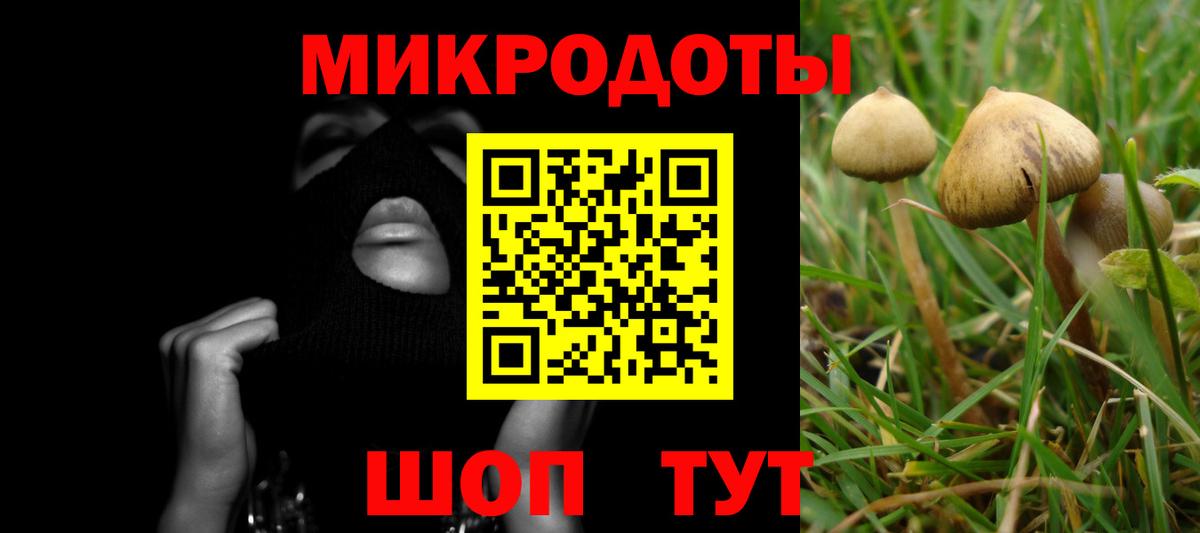 Псилоцибиновые грибы Psilocybine cubensis Сунжа